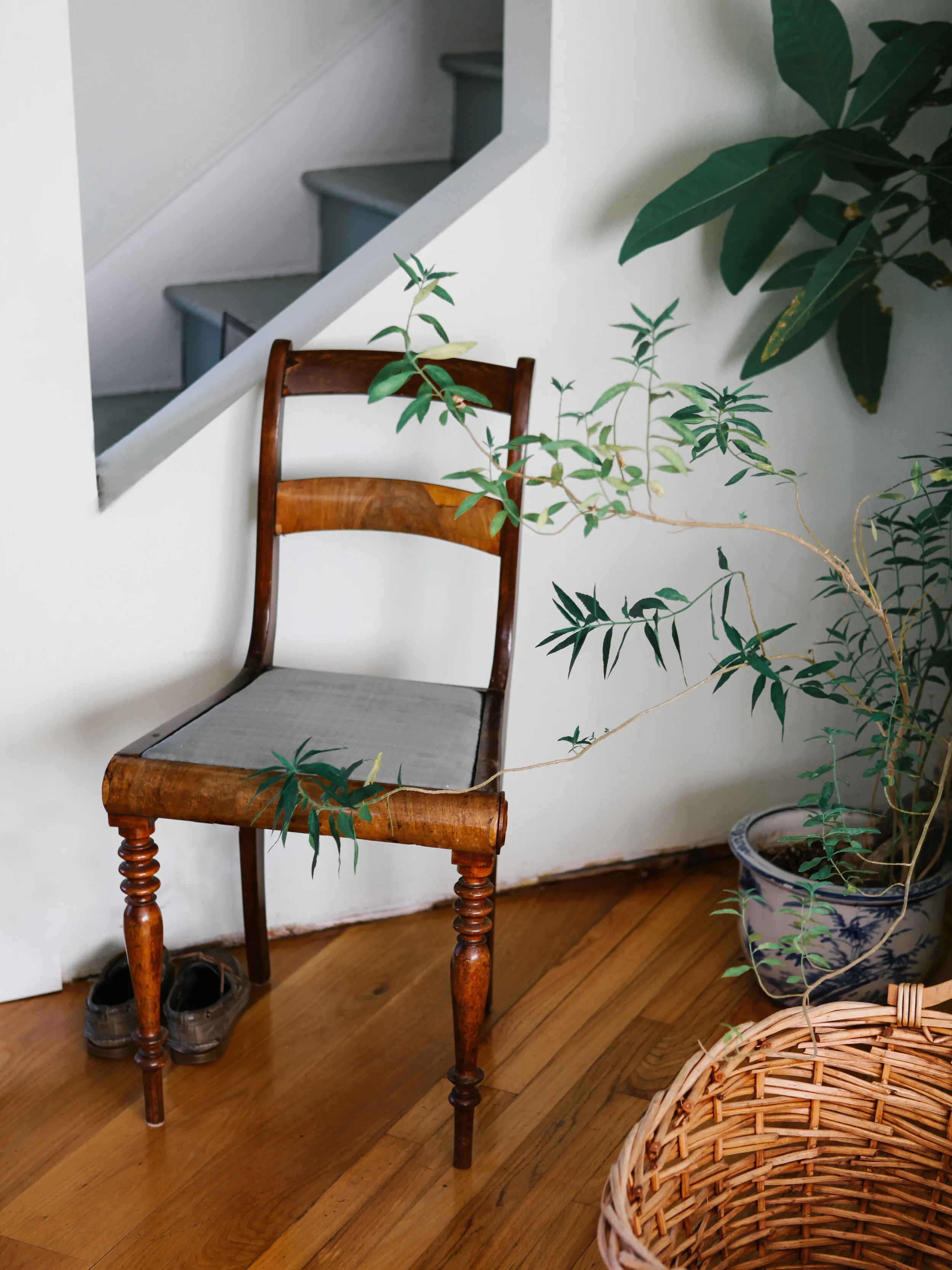 Chairs for the Foyer