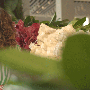 PlantBeautyModel3.gif