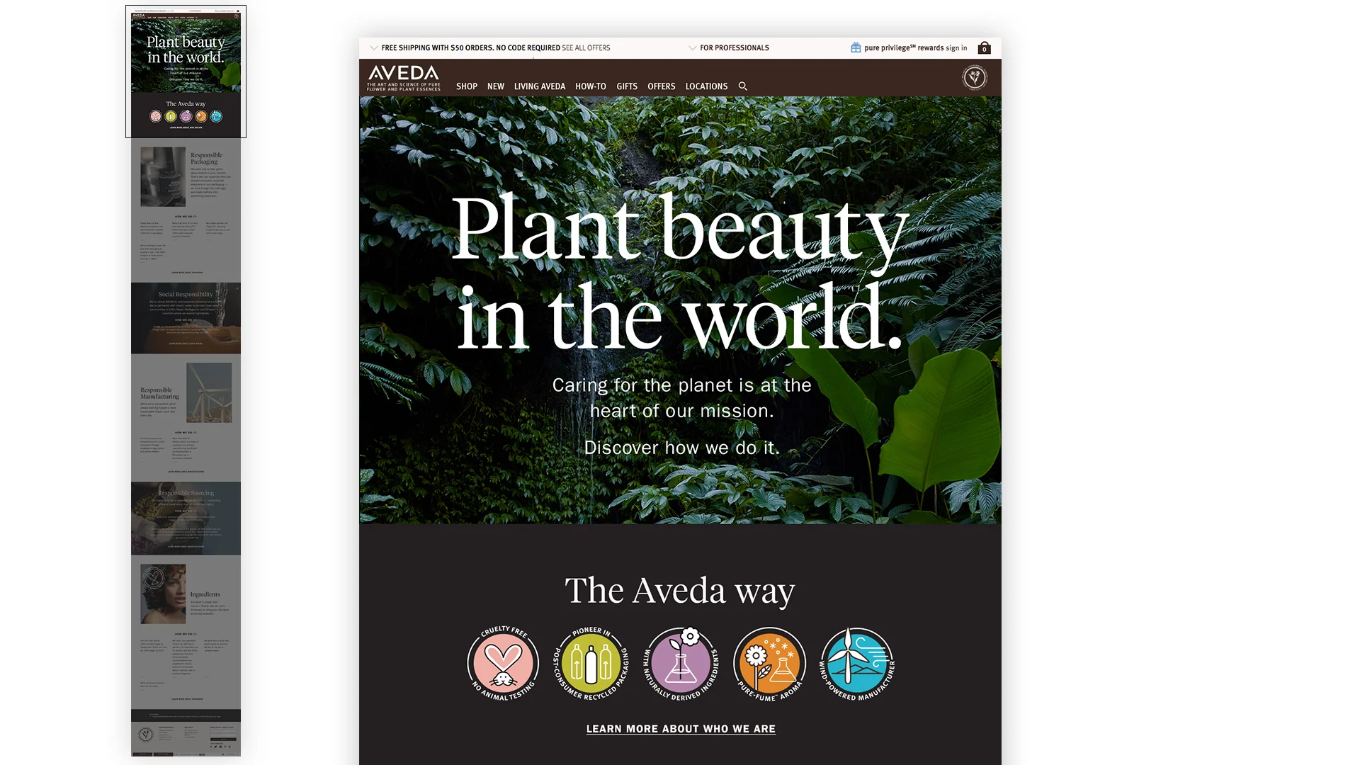 100_Website_Moments_PlantBeauty_A.jpg