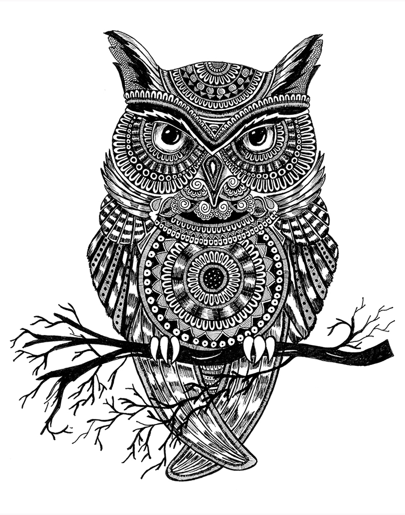 owl_11x14.jpg