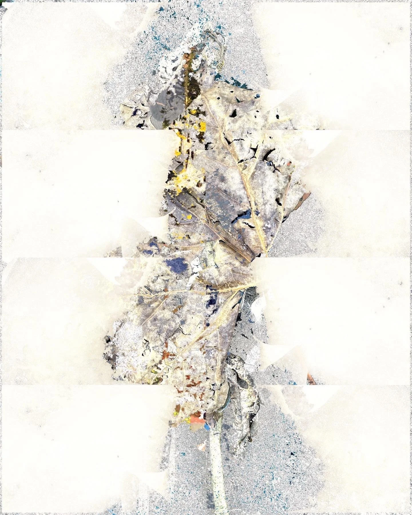 Natural's Not In It 7 copy.JPG