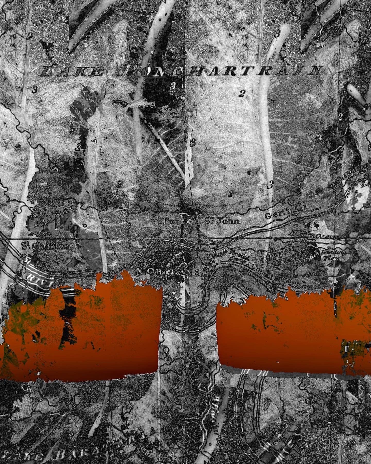 Natural's Not In It 5 copy.JPG