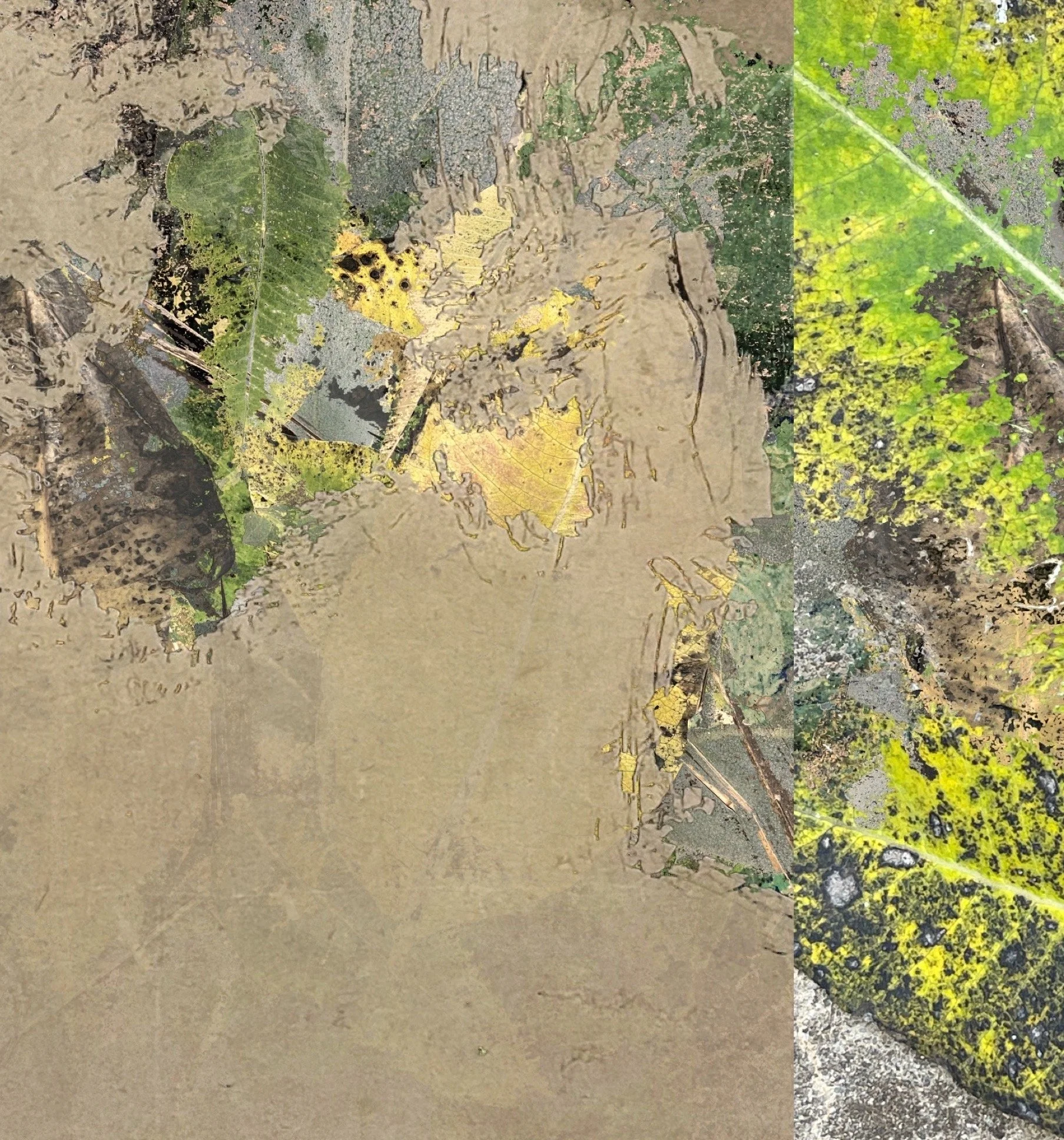 Natural's Not In It 3 copy.JPG