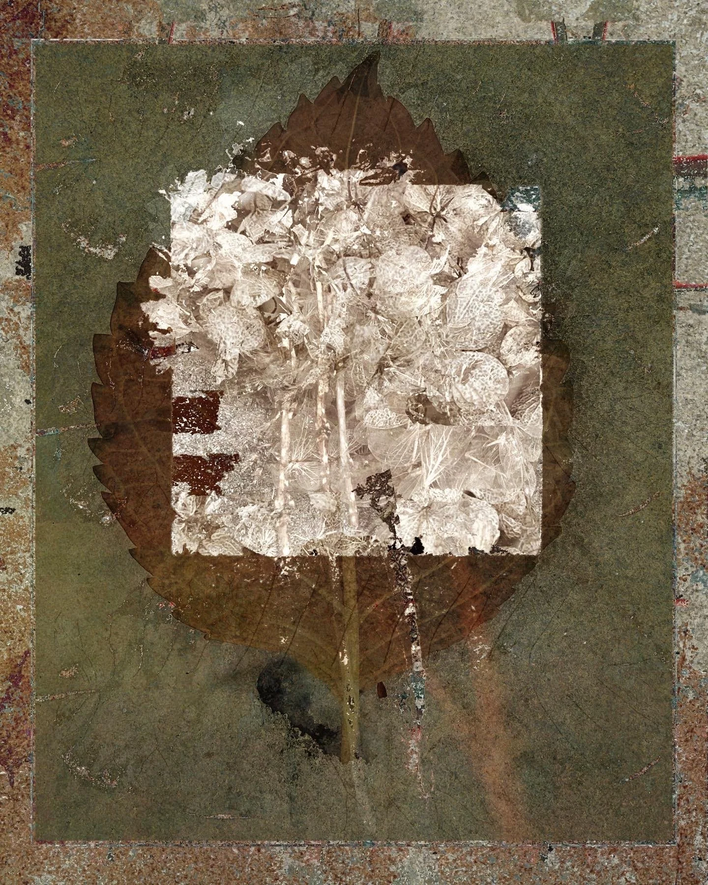 078E5ECA-2015-43BC-88F7-BD3EA2605E24 copy.JPG