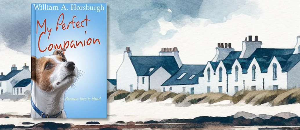 MY PERFECT COMPANION -  BANNER NO WORDS.jpg