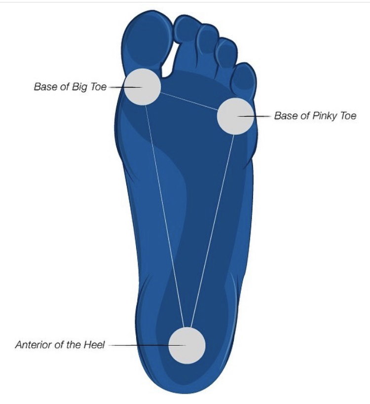Toe Yoga- Why You Should Get On The Bandwagon — Q4 Physical Therapy -  Westborough, MA