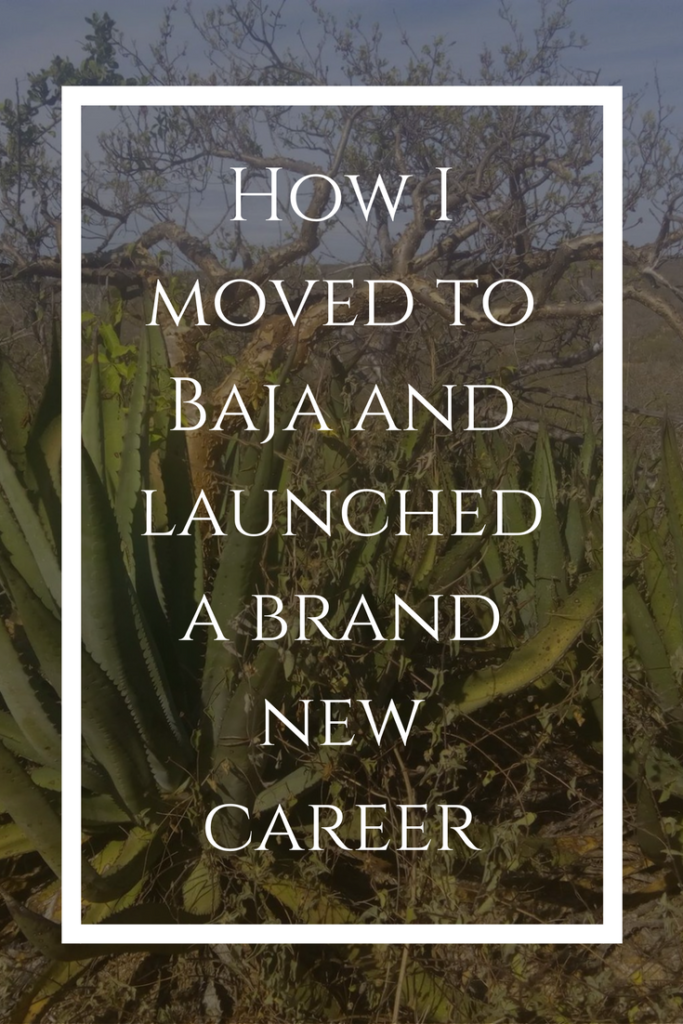 How to move to Mexico | expats in Mexico | expat life| How I moved to Baja Mexico and launched a brand new business | story | Todos Santos | farmer | farming | How I became a farmer |