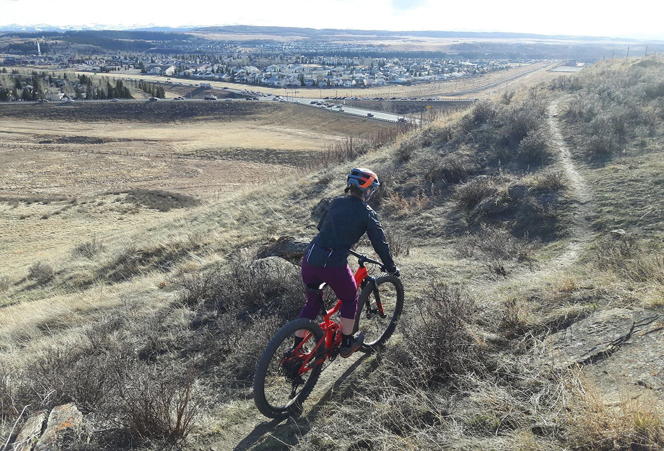 20190408_180202_resized_cropped.jpg