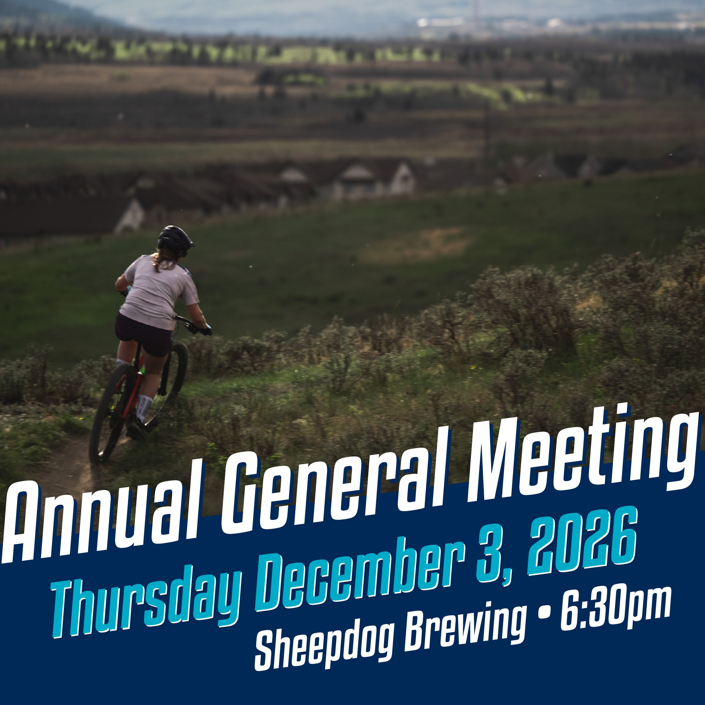 AGM 