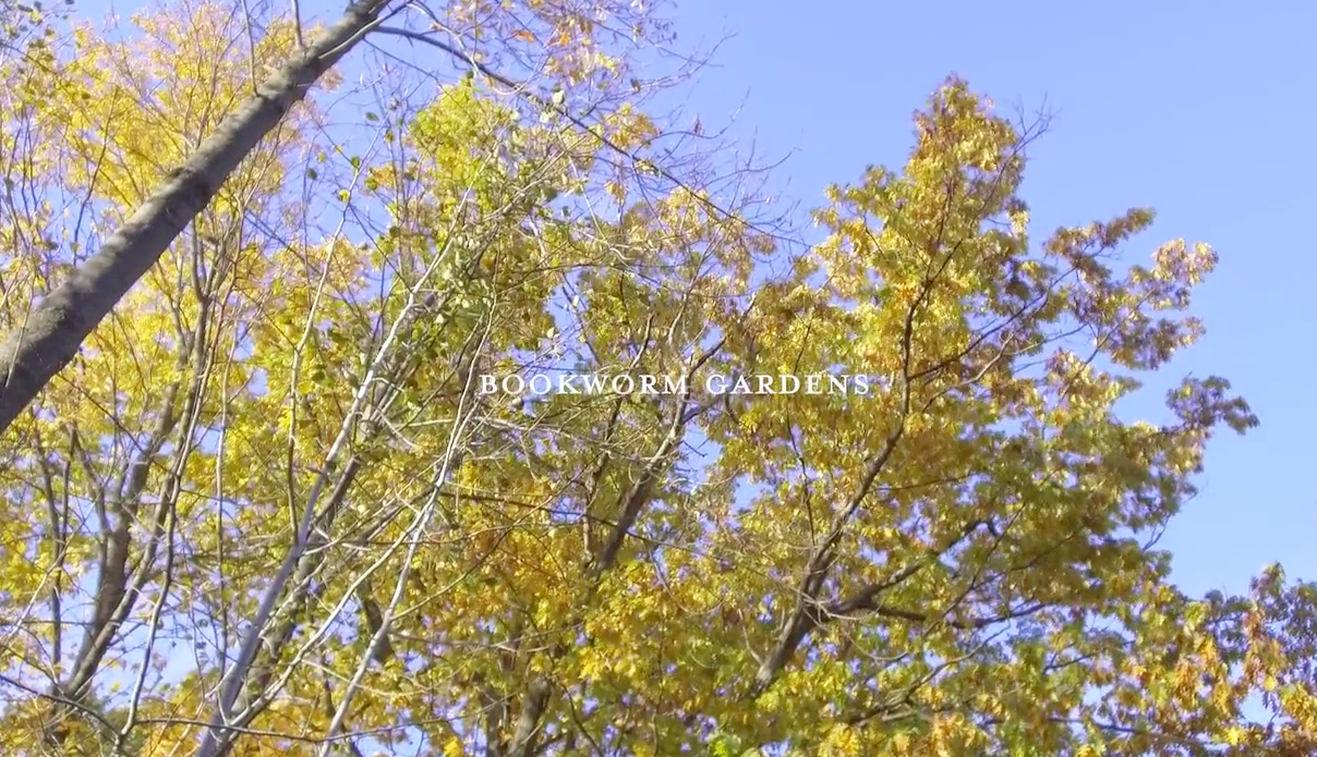 Soundtrack for Bookworm Gardens video by Kelly Michael Anderson