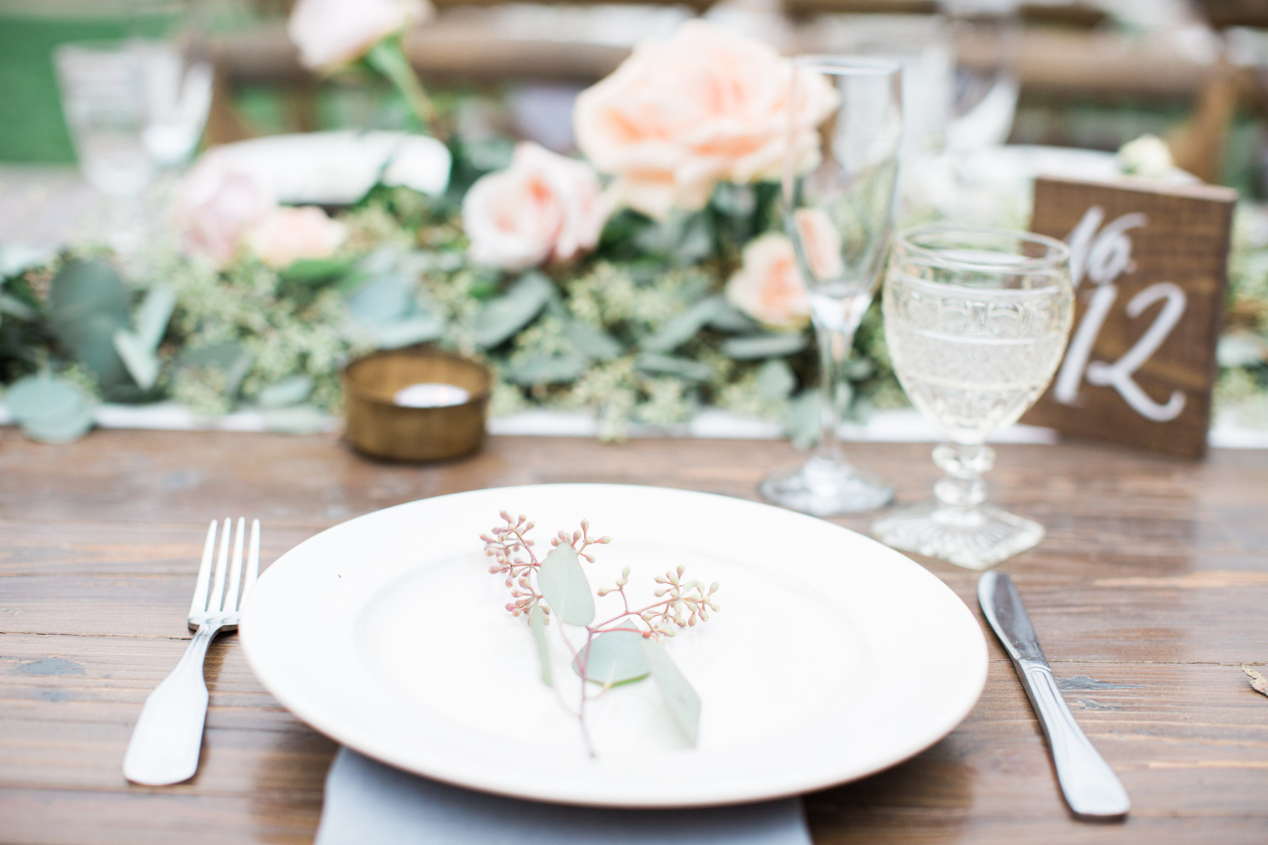 brookeboroughphotography_patrickandcaitlin-682.jpg
