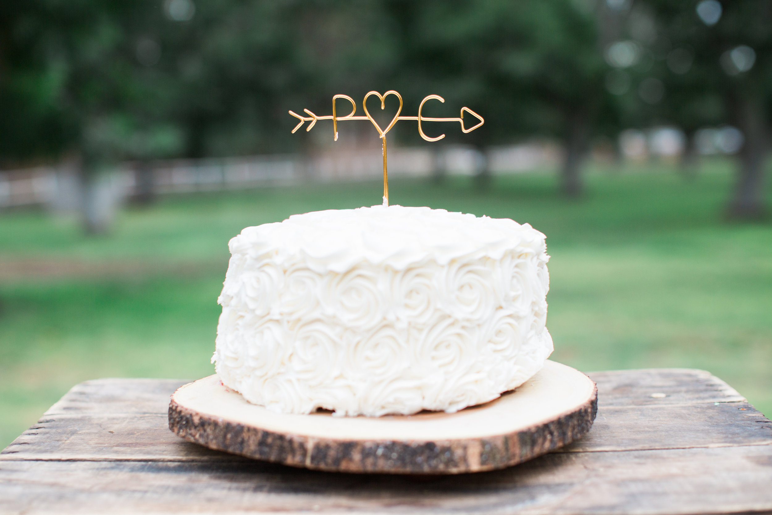 brookeboroughphotography_patrickandcaitlin-708.jpg