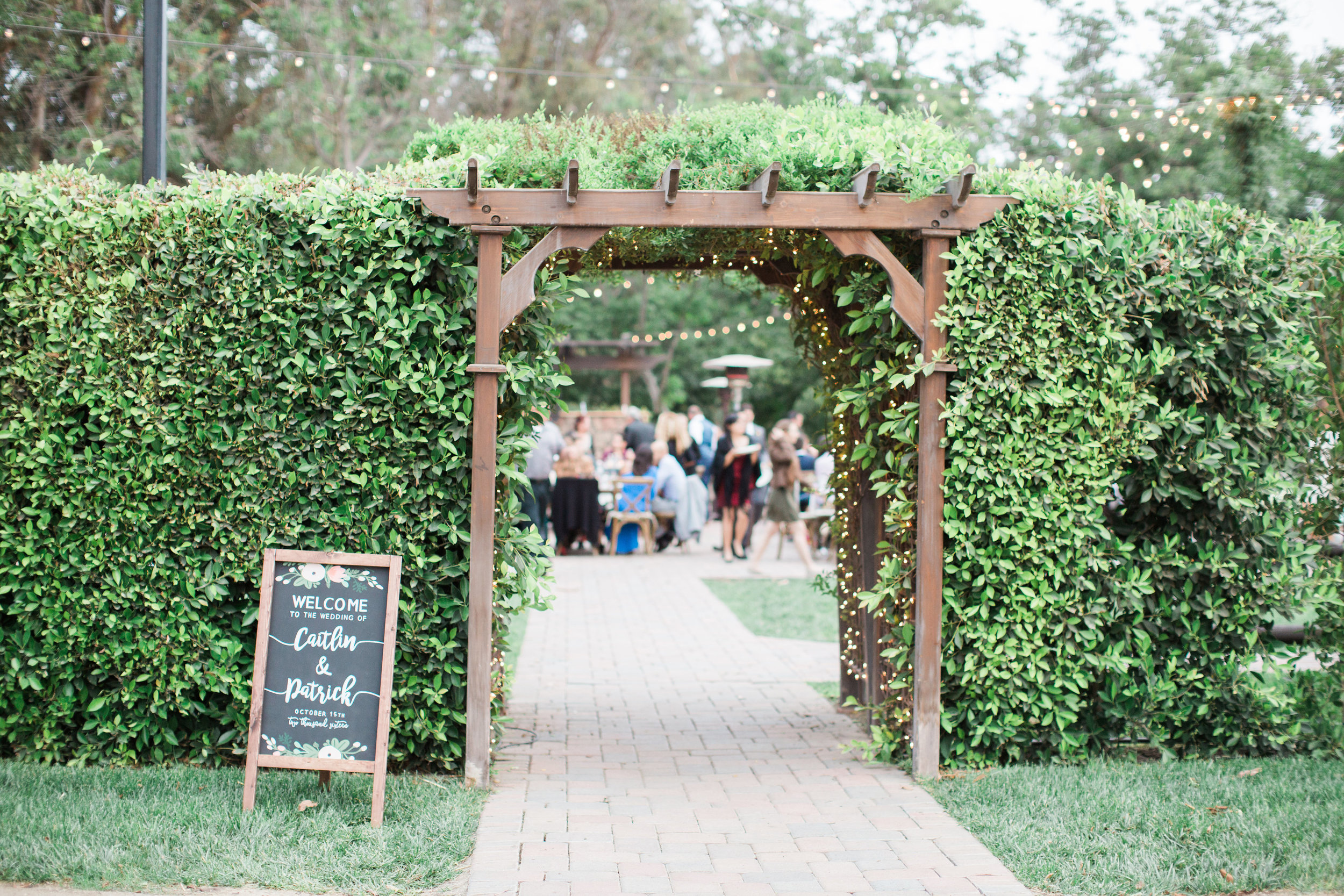 brookeboroughphotography_patrickandcaitlin-1209.jpg