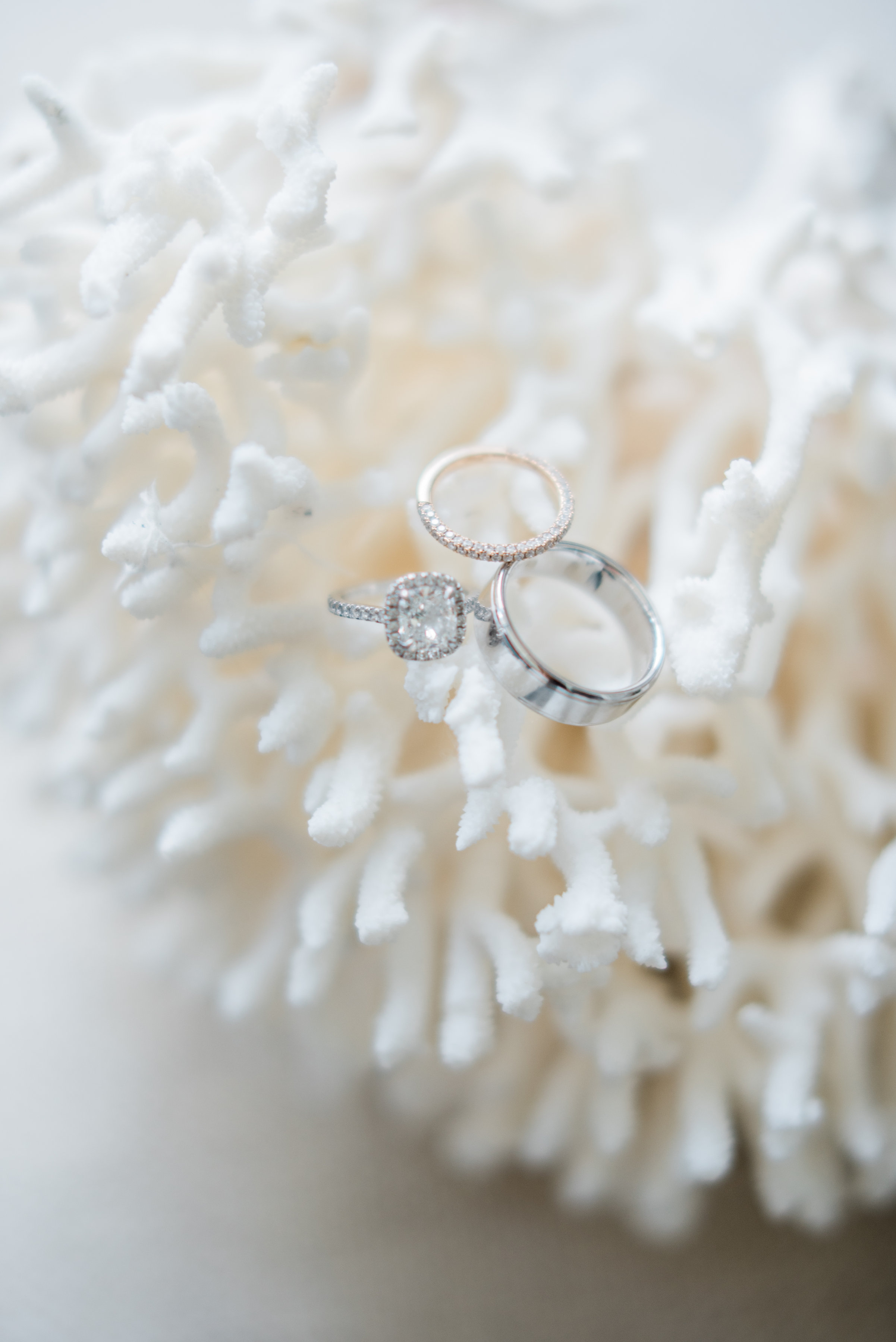 ASHLEYSUN_WEDDING_SANTAMONICA-15.jpg