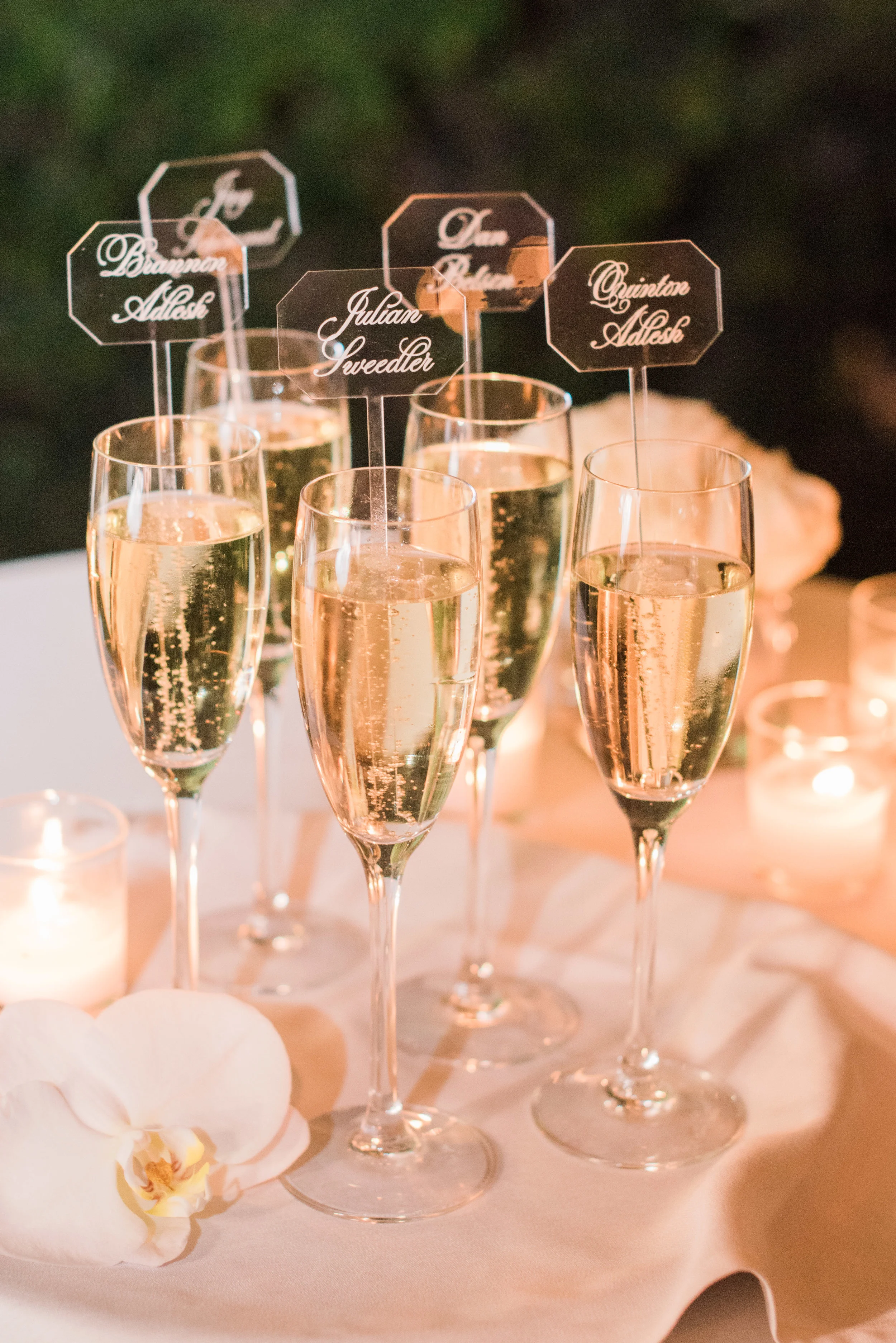 wedding-973.jpg