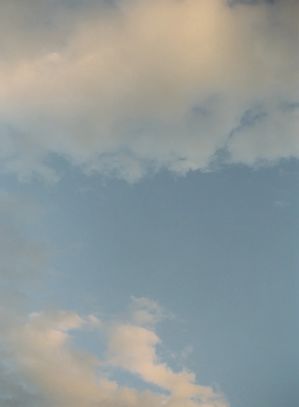TFPW1-010.jpg