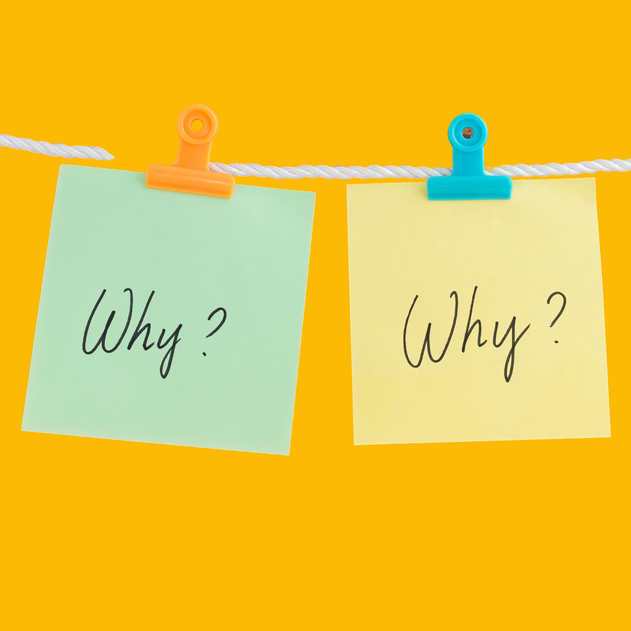 Why Blog Takeovers?
