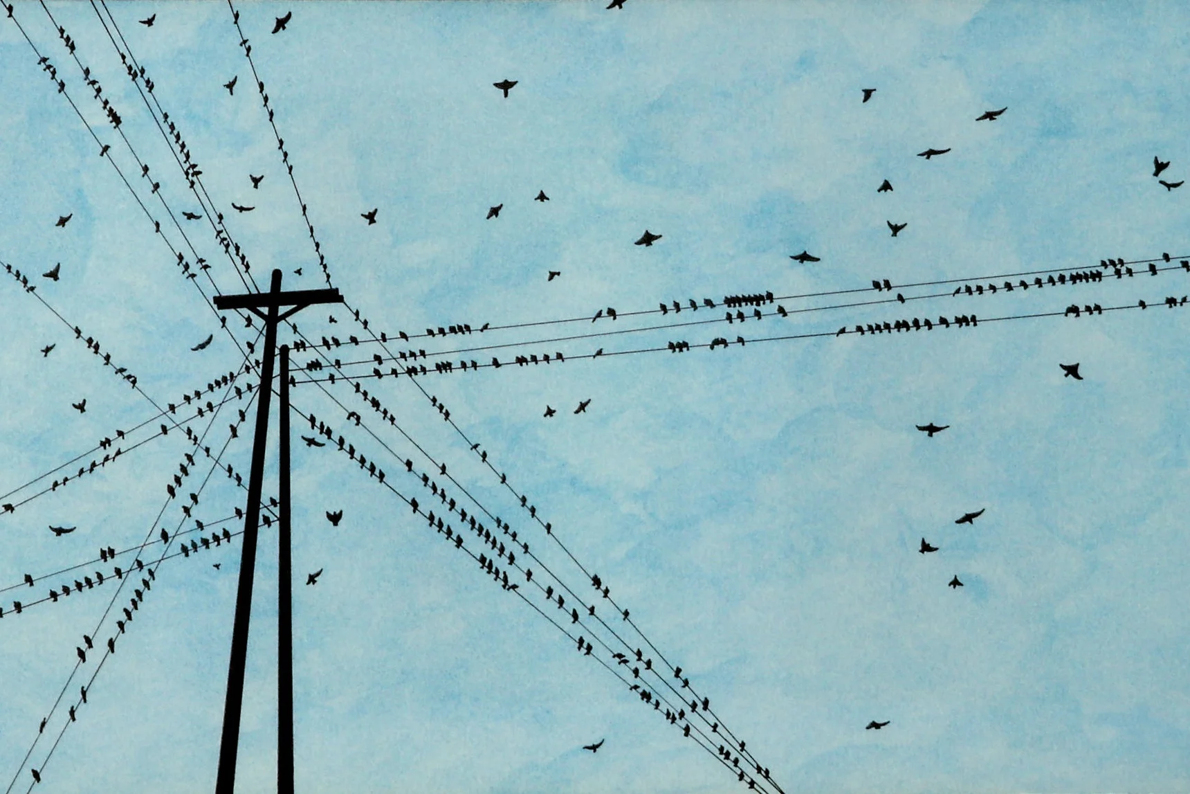 Birds+on+a+Wire+Blue.jpg