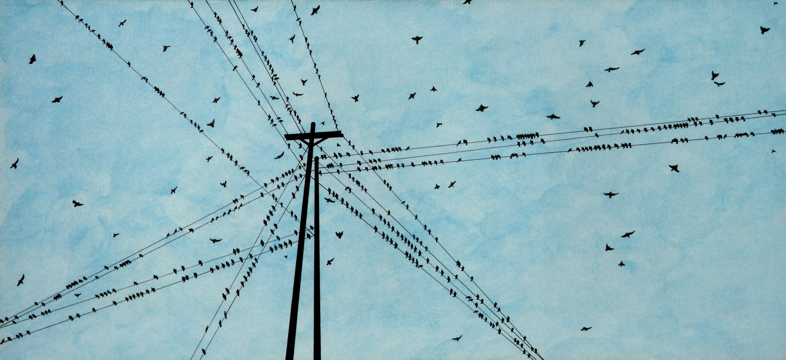 Birds on Wires Sky Blue