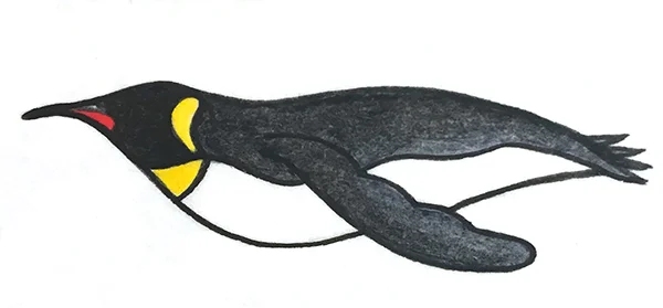 Pinguin