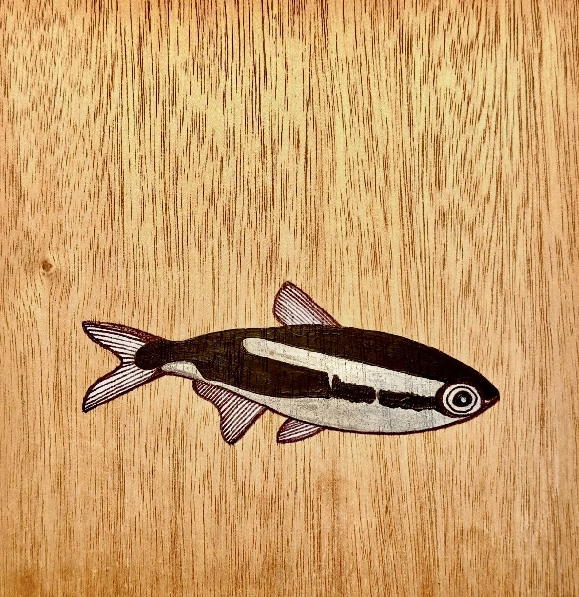 Silver Fish on Wood