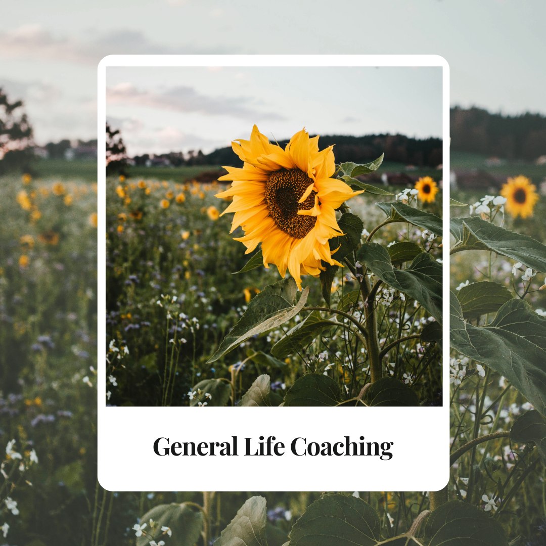 Life Coaching.png