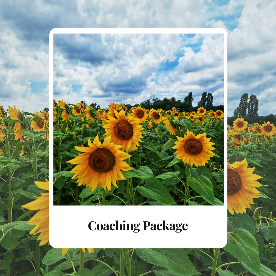 Life Coaching (2).png