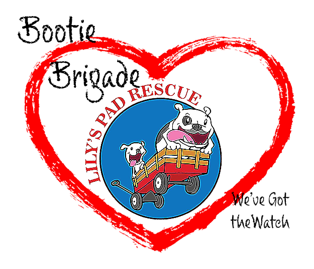 BB Logo3.png