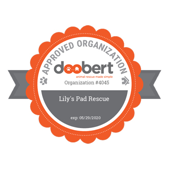 Lily's Pad Rescue | Approved Org