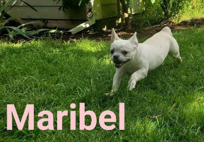 Maribel | August 2022