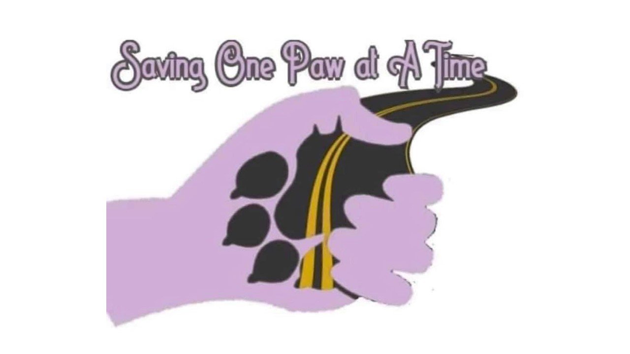 One Paw at a Time