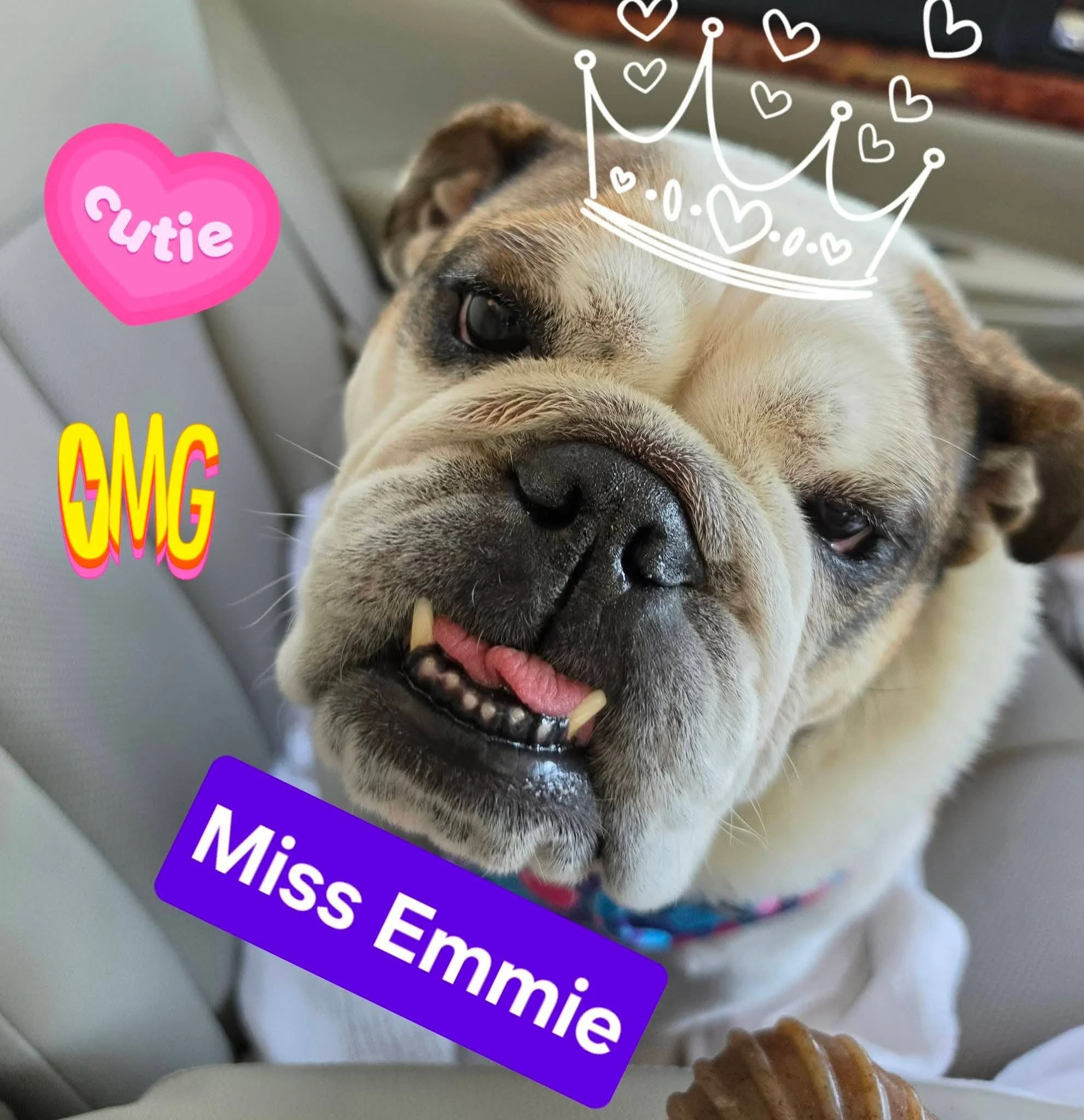 Emmie May 2026