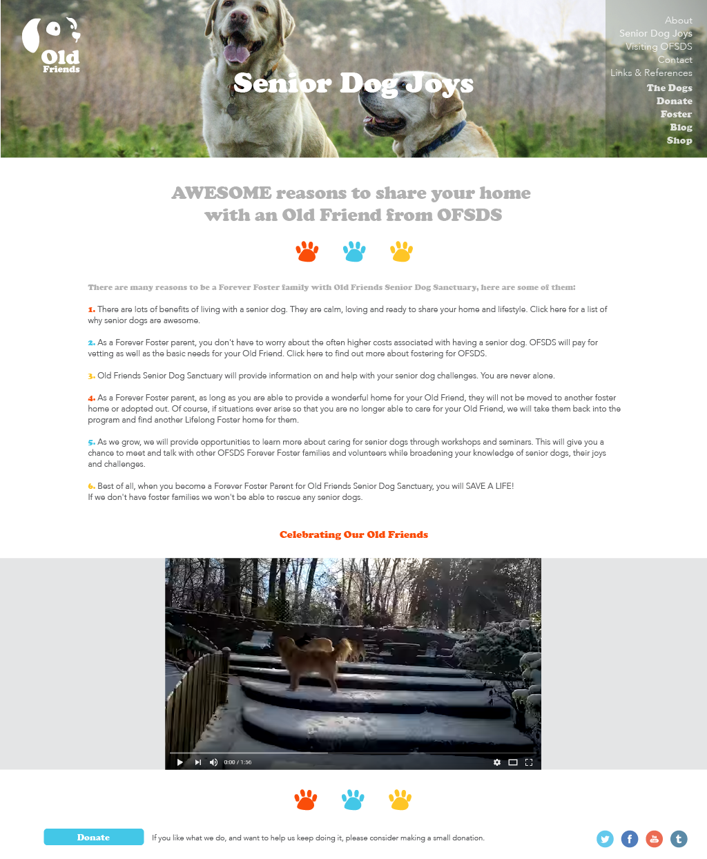 elderly dog sanctuary