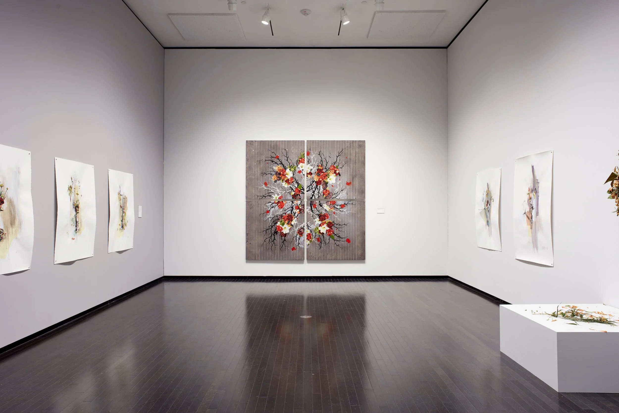 Warm Red and Grey Radial, 2018 Installation