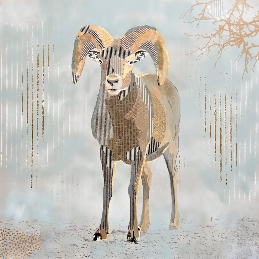 Big Horn Sheep, 2026