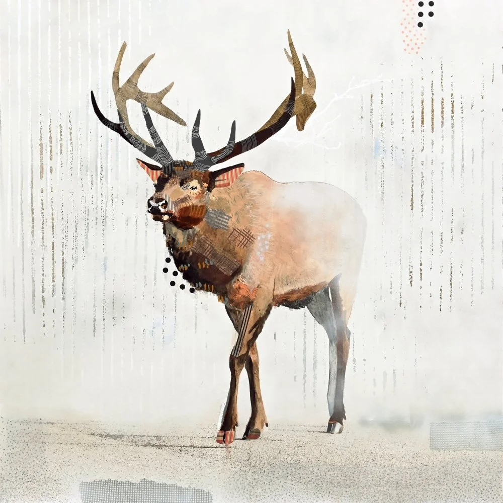 Elk Road – White, 2026