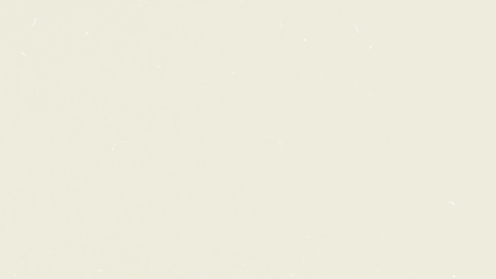 Web Film Grain 4.jpg