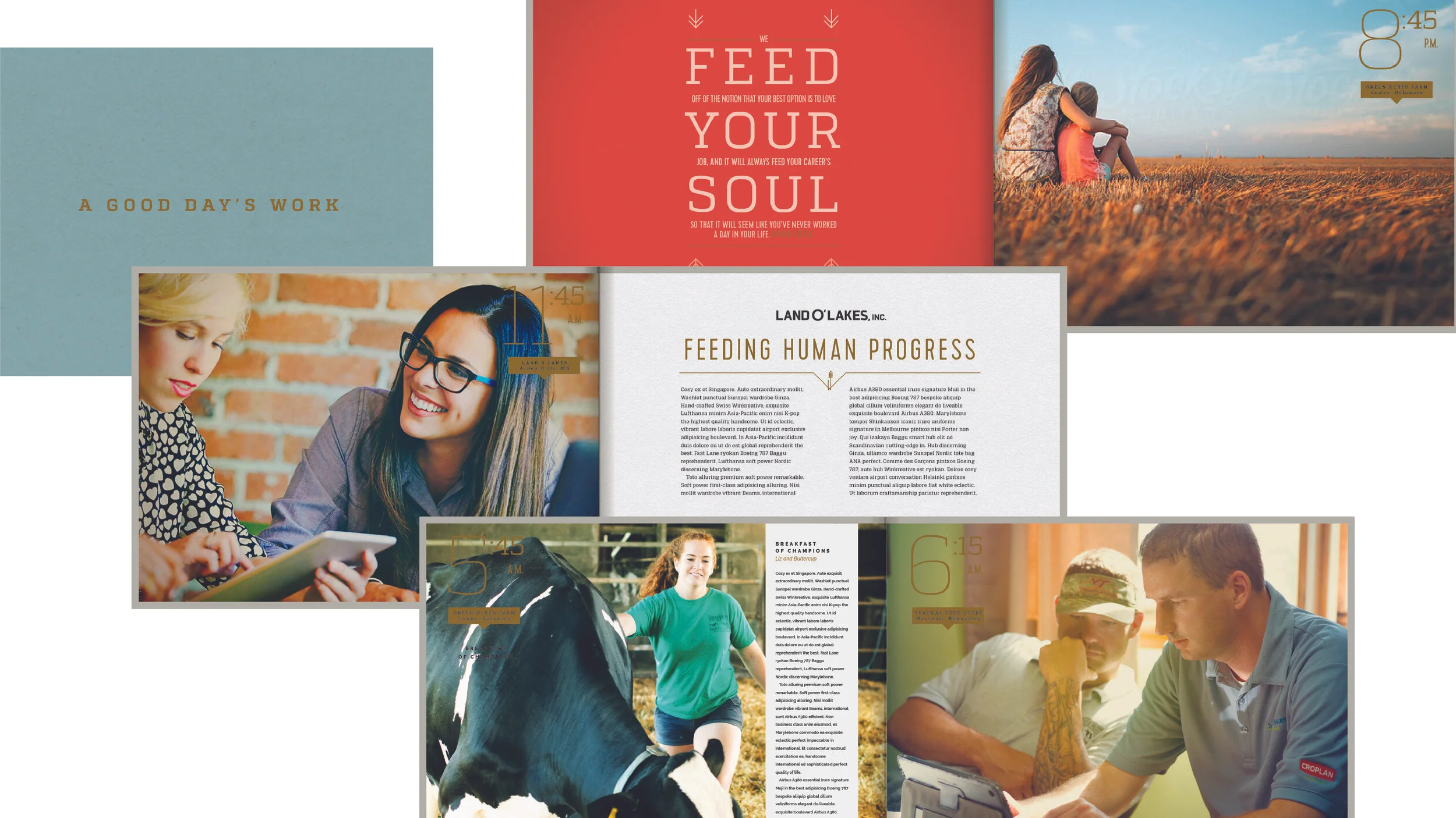 000_LOLPanes_Artboard 3.jpg