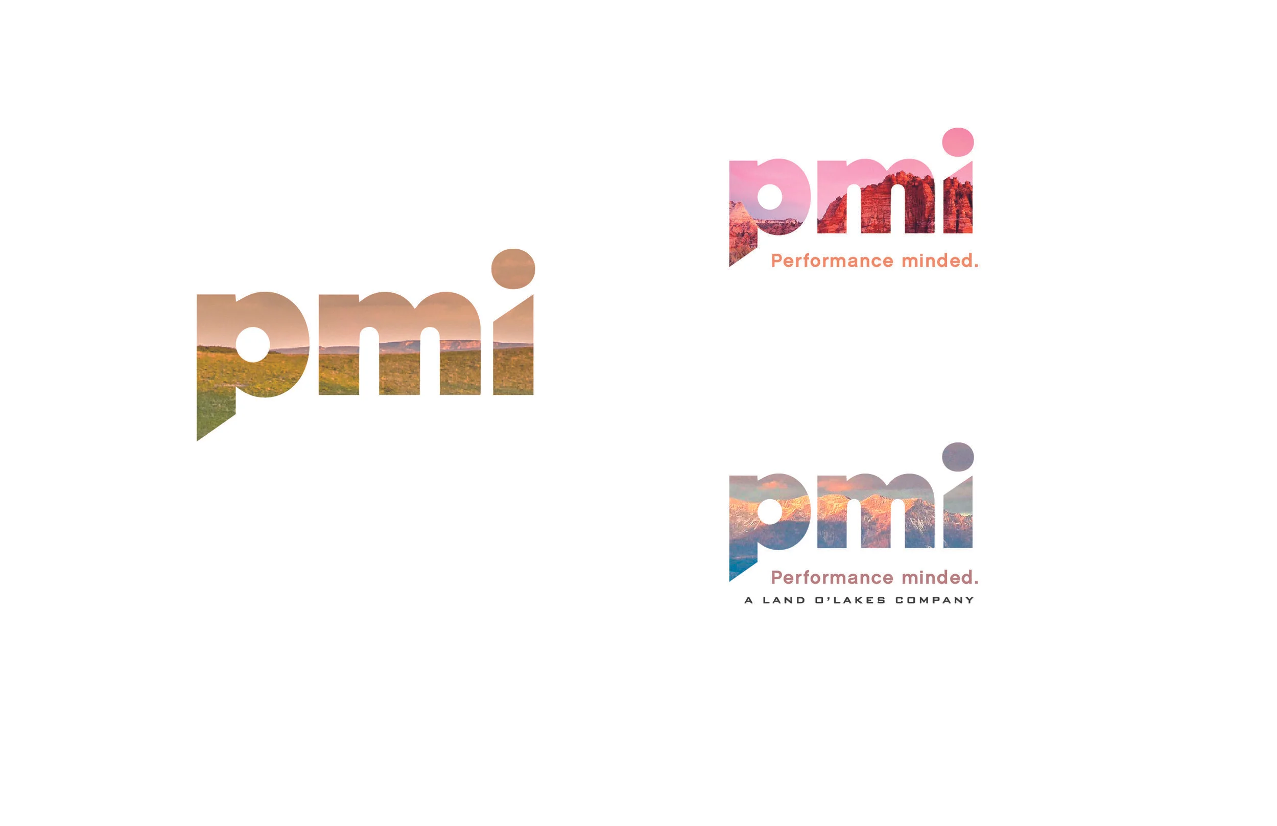 17LL014_PMI_Branding_V17-01.jpg