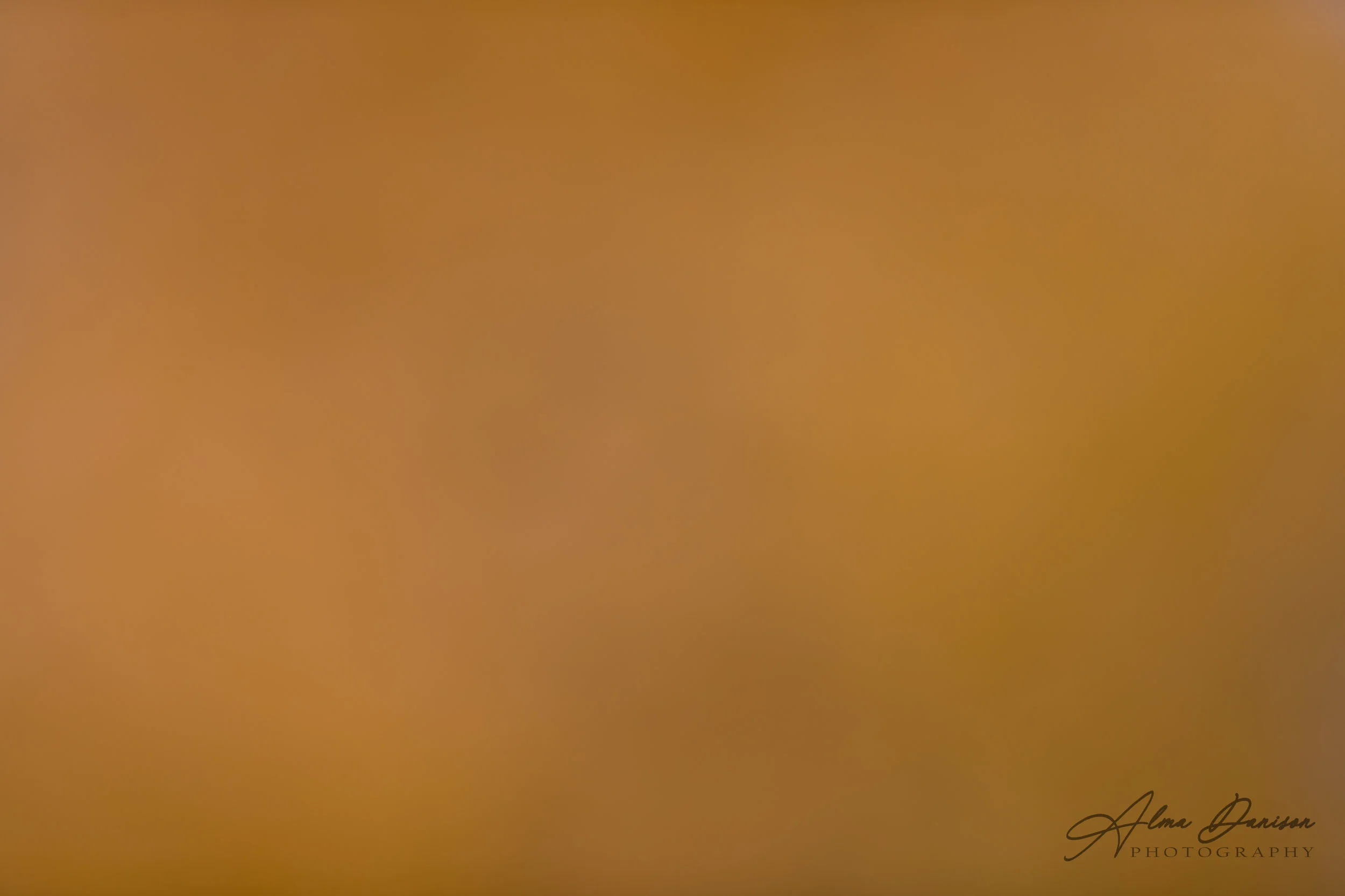 id 2537 - 6720x4480 px