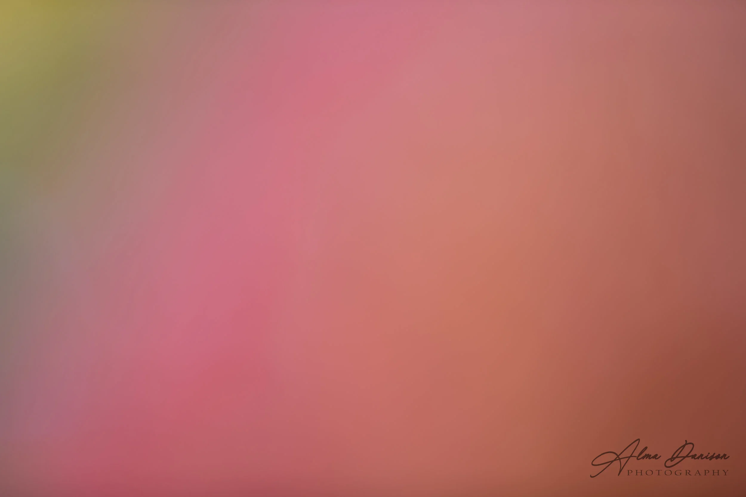 id 2572 - 6720x4480 px