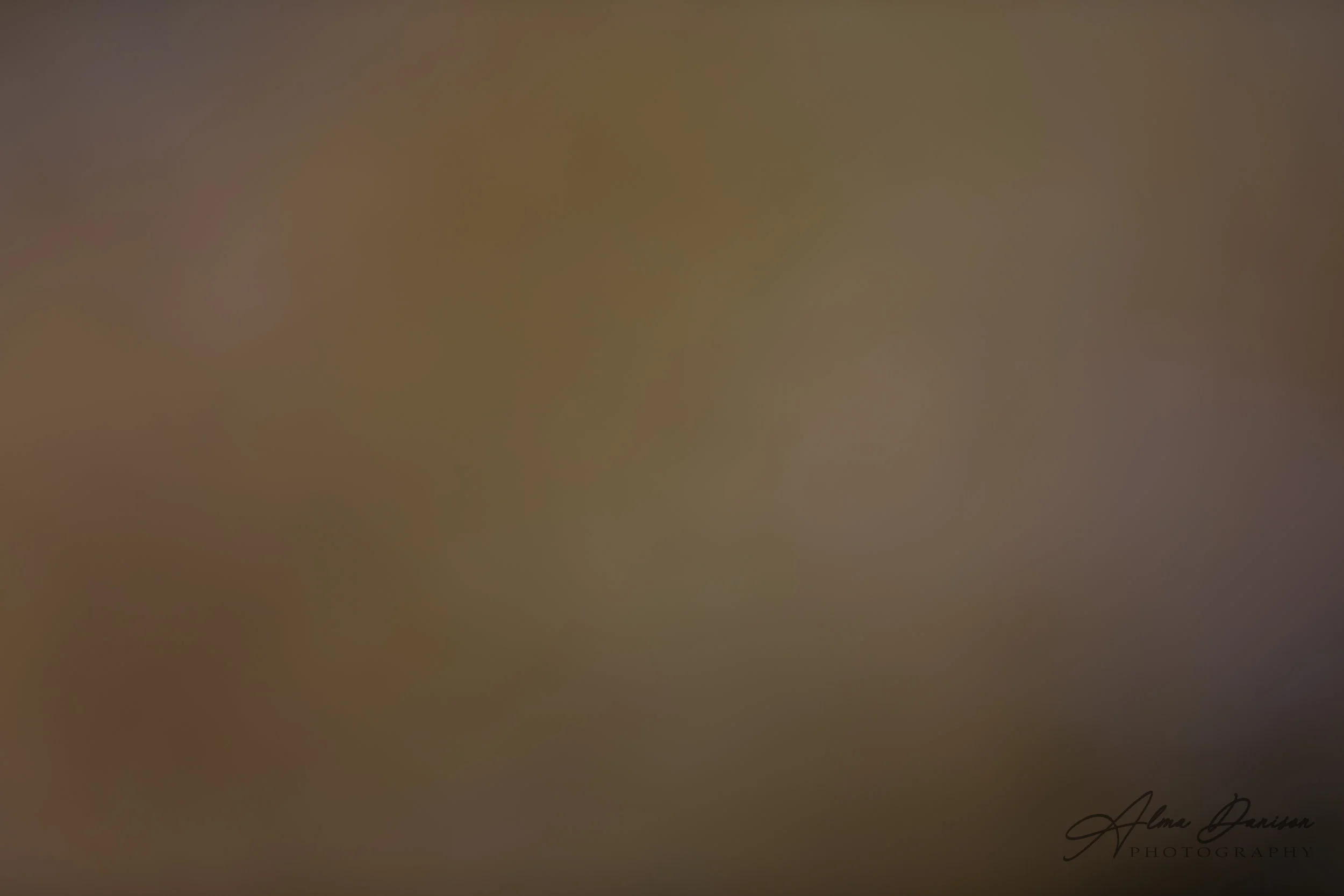 id 2617 - 6720x4480 px