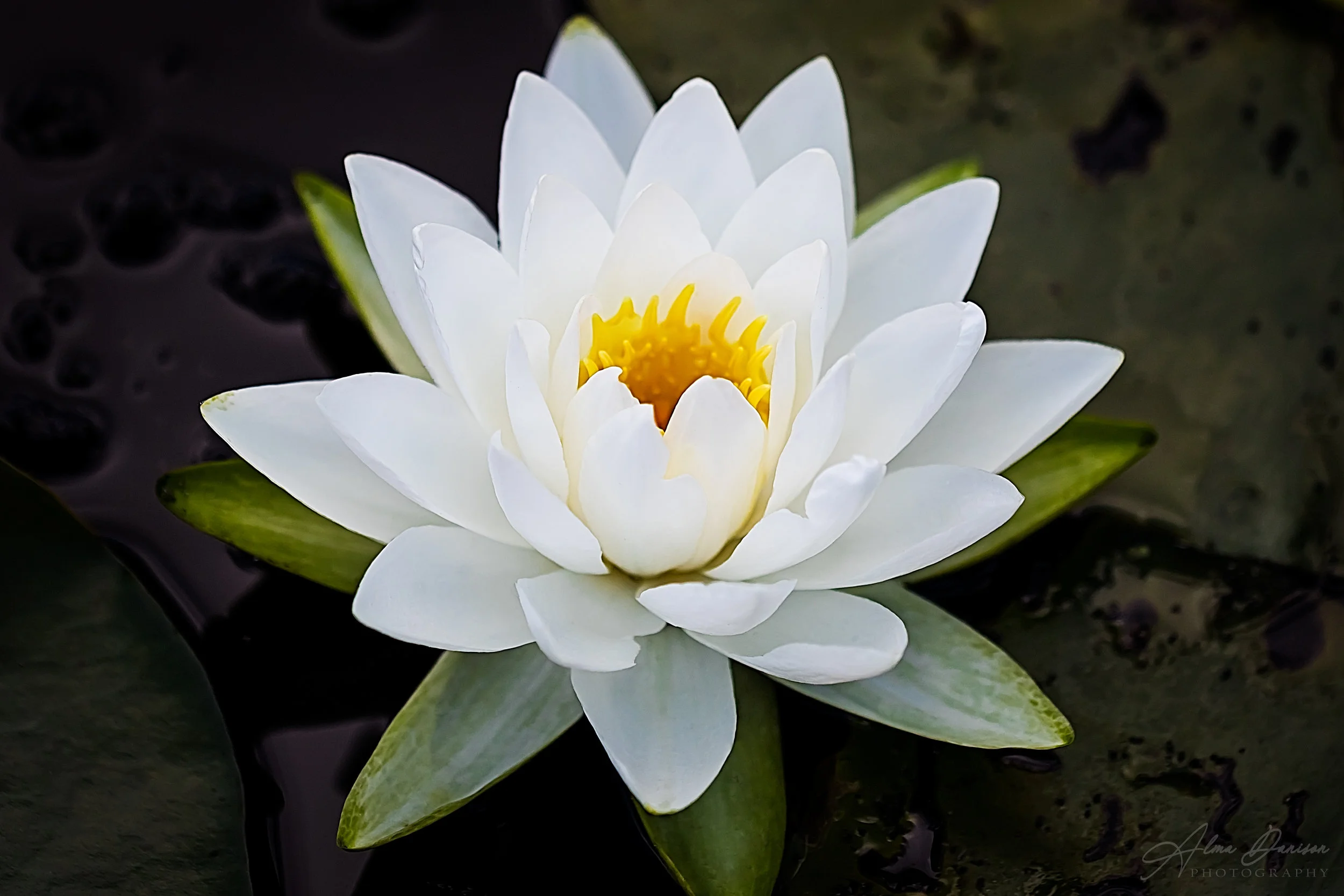id 3492 - 5206x3471 px