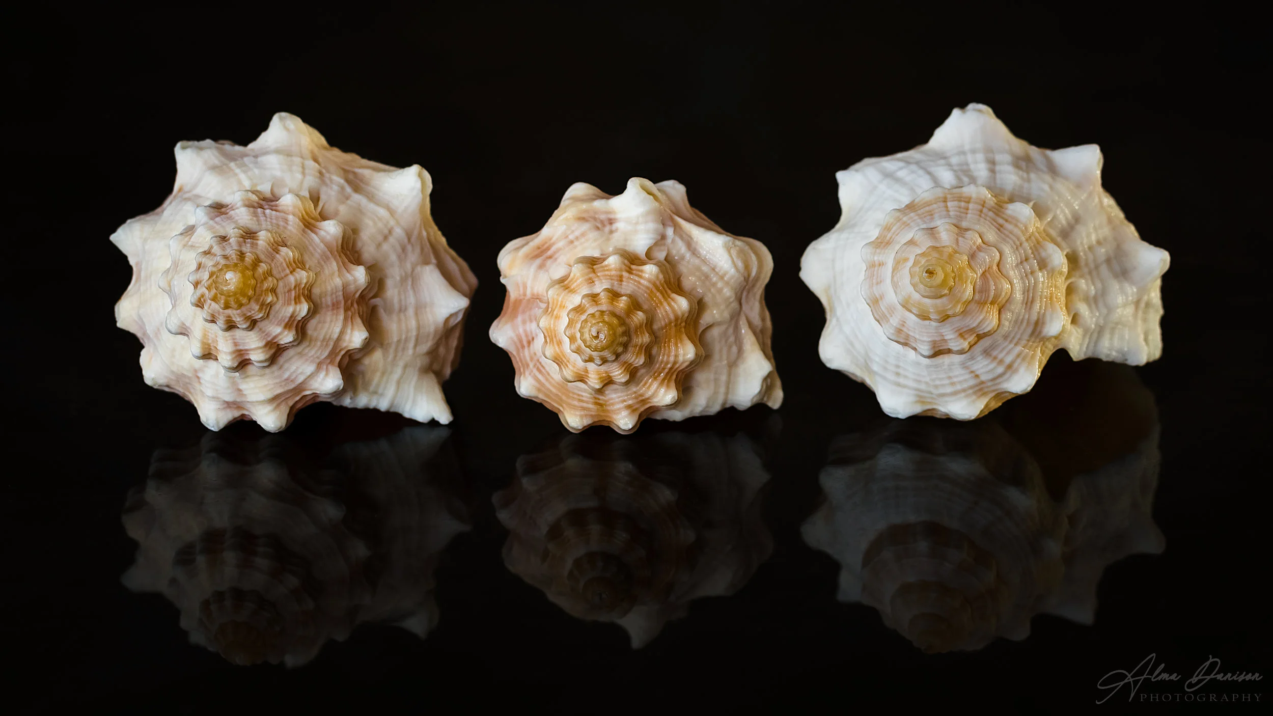 Three Spirals