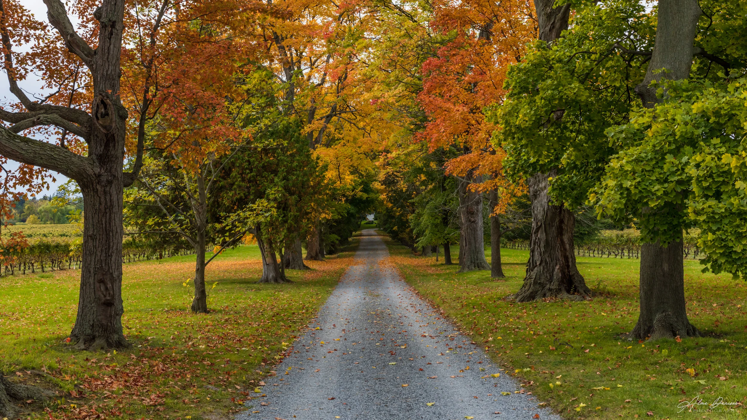id 2049 - 6035x3395 px