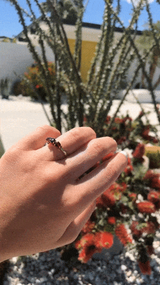 IMG_8566 (2).gif