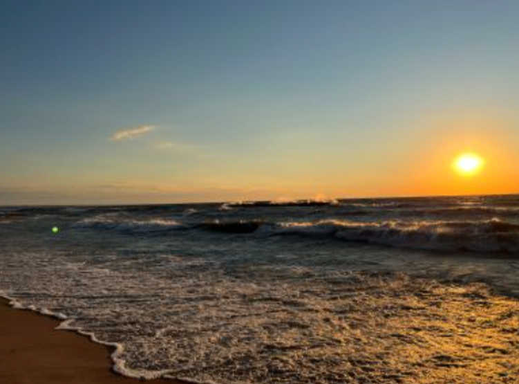 Navigating Life’s Tsunamis: Four Mindshifts for Growth Through Transition