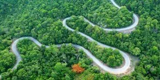 What is Transitional Intelligence (TQ) anyway? 