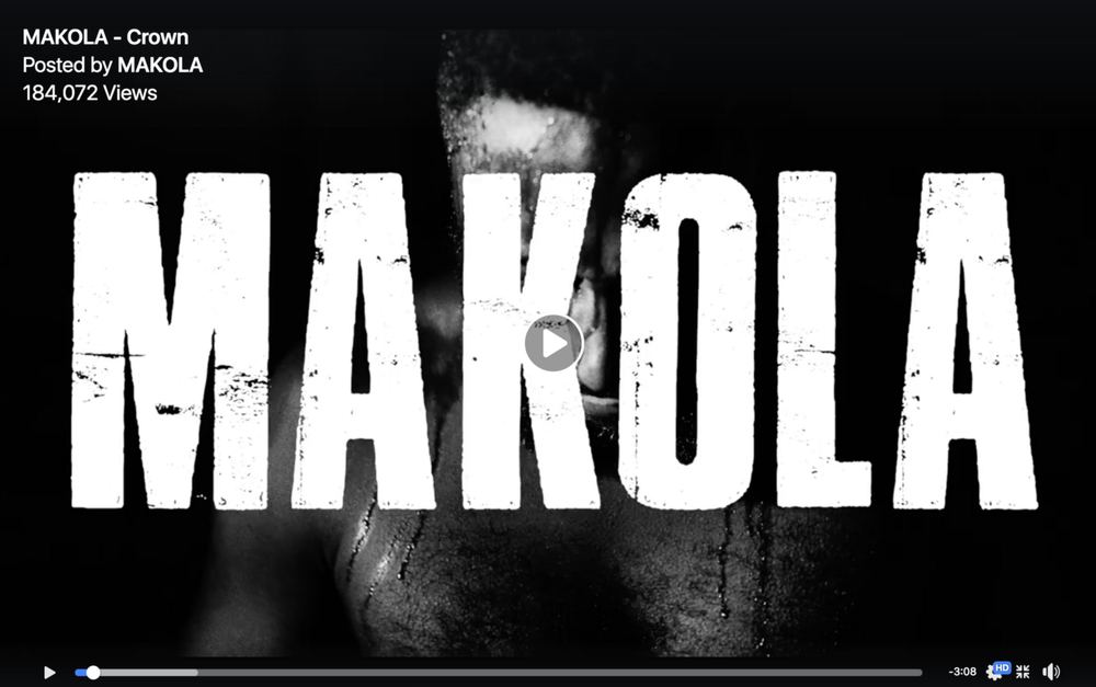 Blog - Video Views Campaign - Makola.png