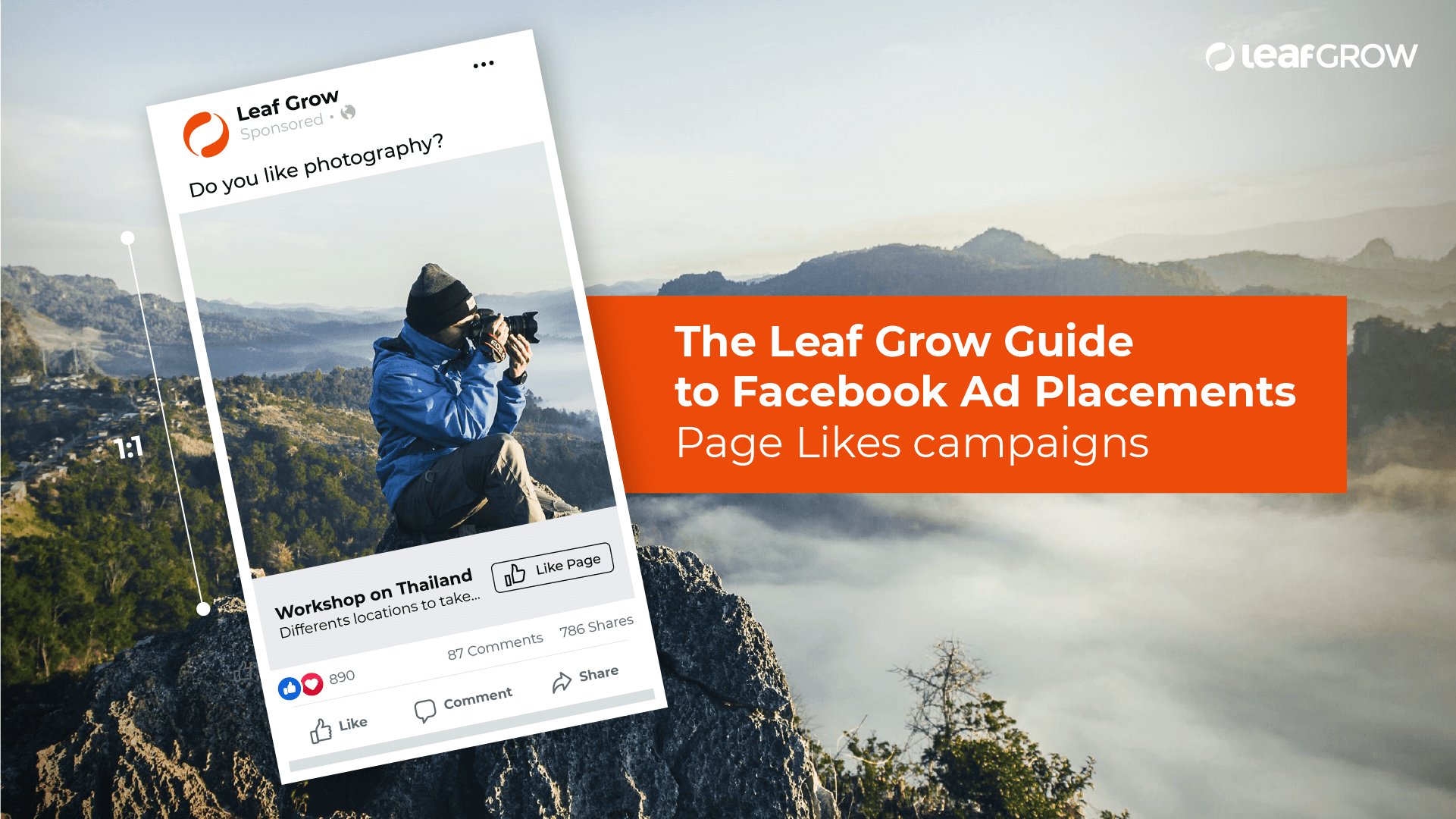 The Leaf Grow Guide to Facebook Ad Placements - Page Likes campaigns.png